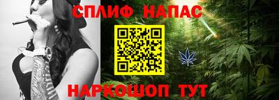 СК Краснознаменск